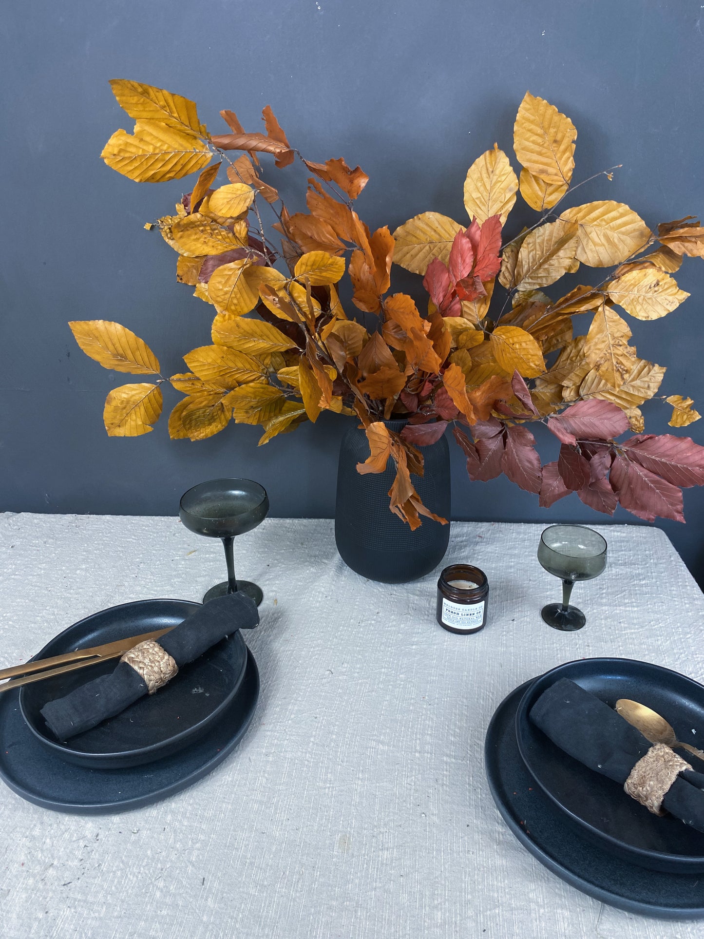 Preserved beech - autumn shades