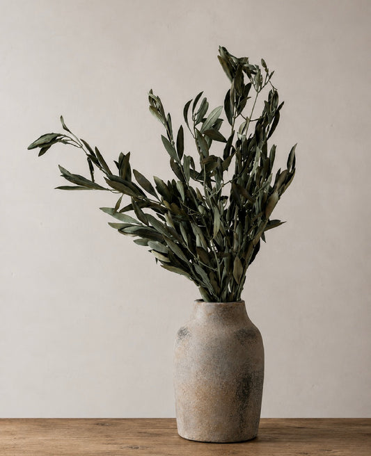 Preserved Olive