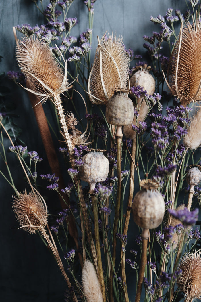 Beatrice Dried Wild Flower Bouquet