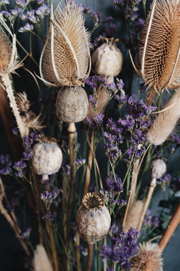 Beatrice Dried Wild Flower Bouquet