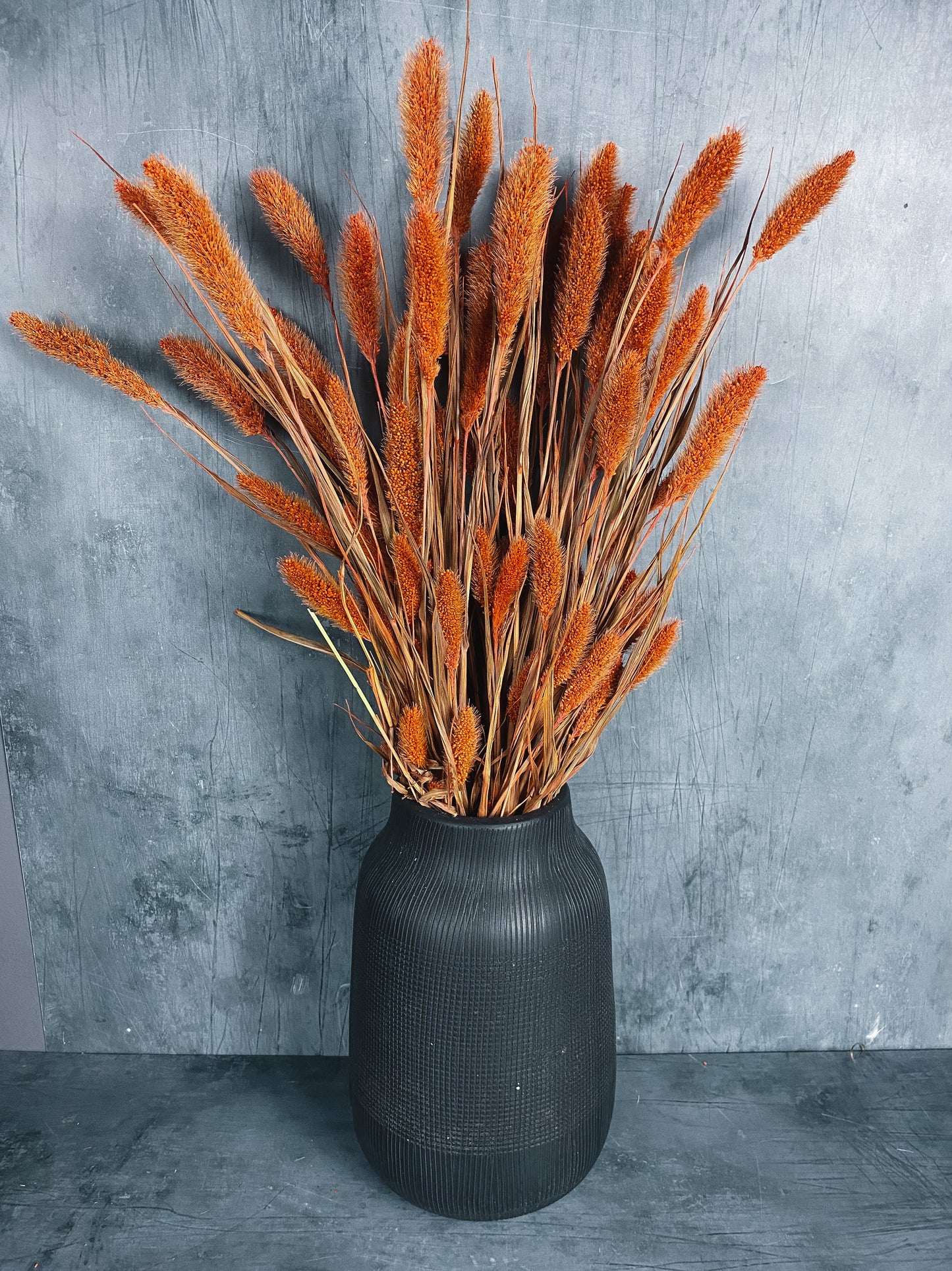 Dried Setaria Bunch - Burnt Orange