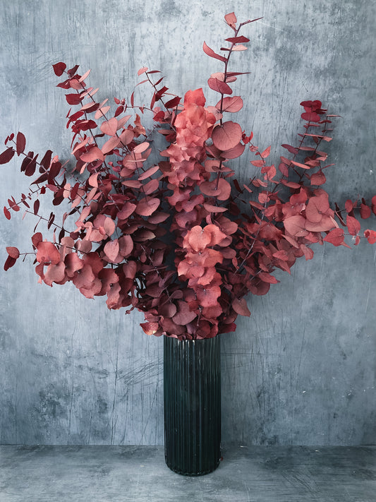 Preserved Eucalyptus Bouquet - Red
