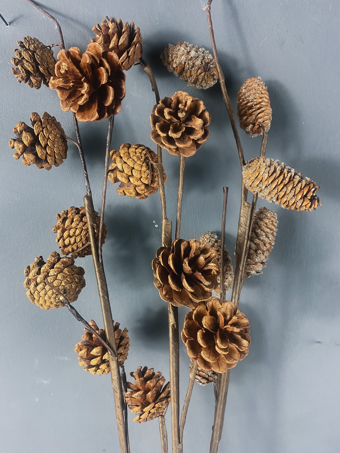 Dried Pine Cone Stems