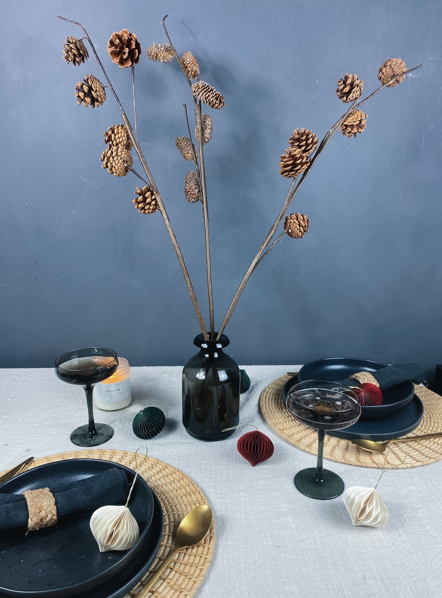 Dried Pine Cone Stems