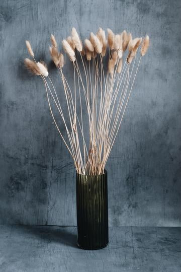 How long do dried flowers last?