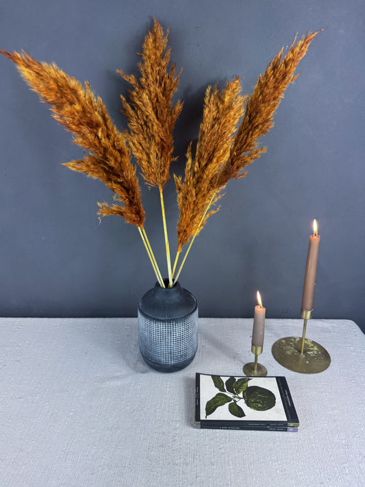 Pampas grass - rust orange