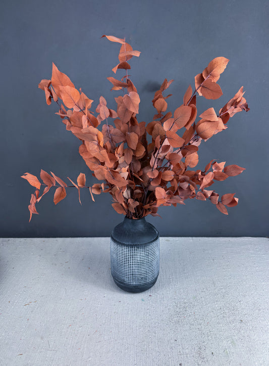 Preserved Eucalyptus Bouquet - Orange