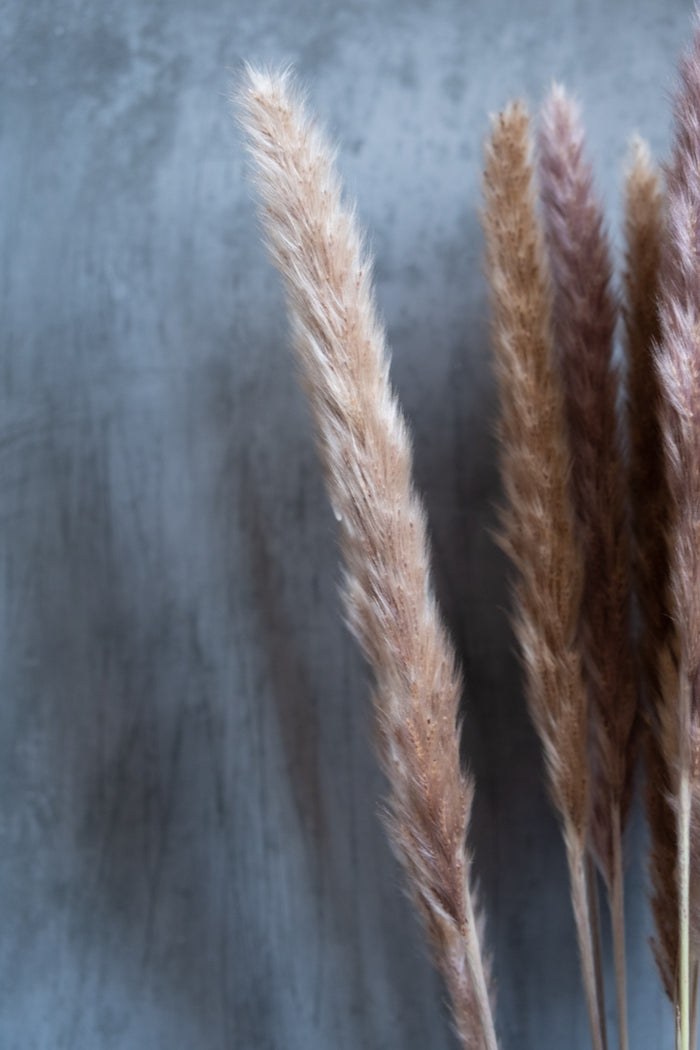 Dried Pampas Grass Bunch