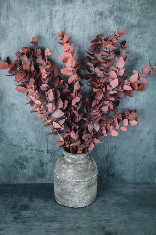 Preserved Eucalyptus Bouquet - Red