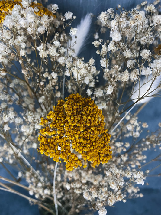 Harri Dried Flower Arrangement