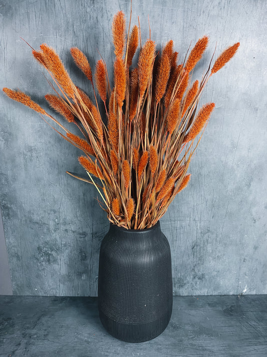 Dried Setaria Bunch - Burnt Orange