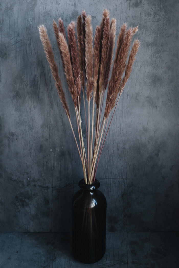 Dried Pampas Grass Bunch