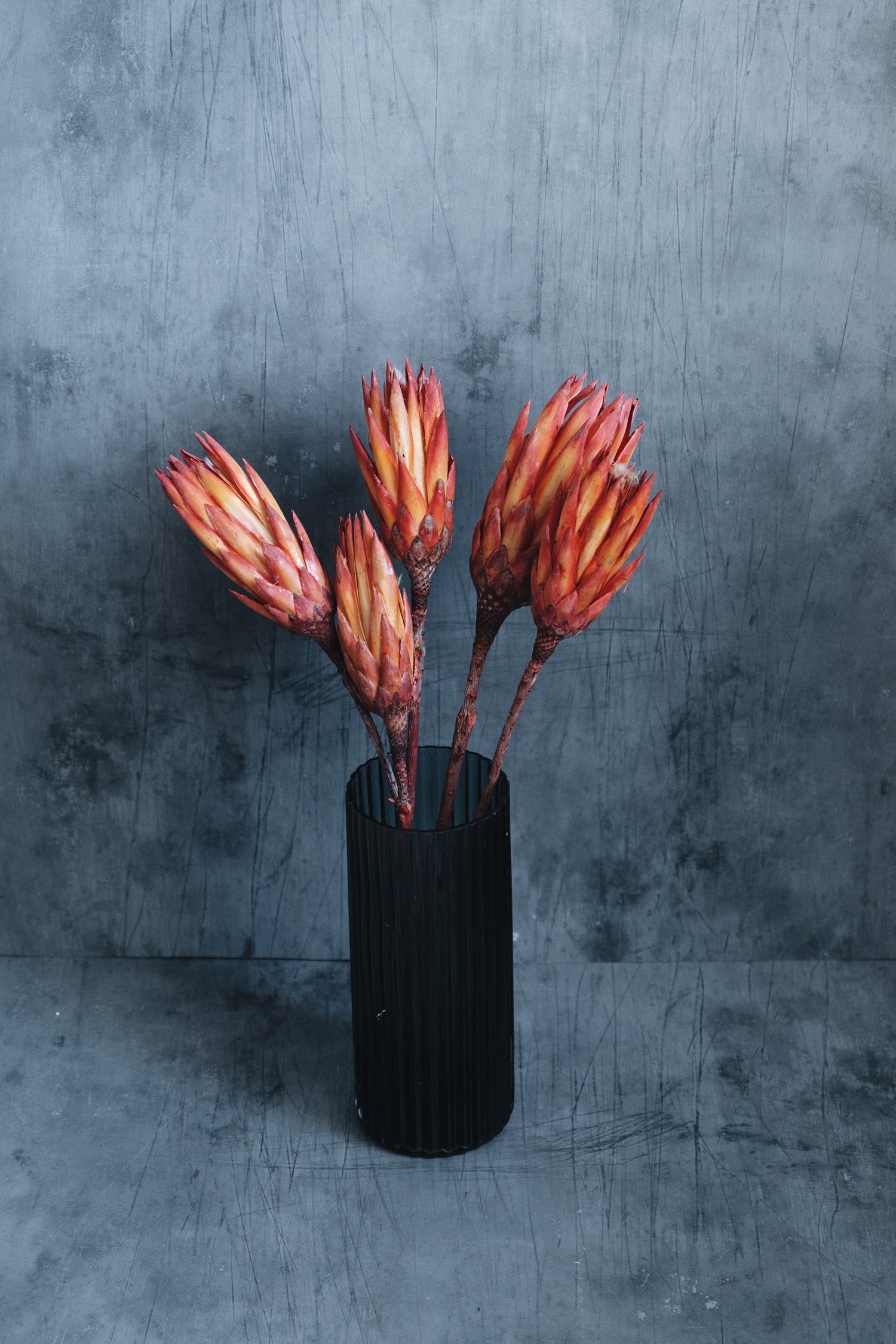 DRIED & PRESERVED FLOWERS