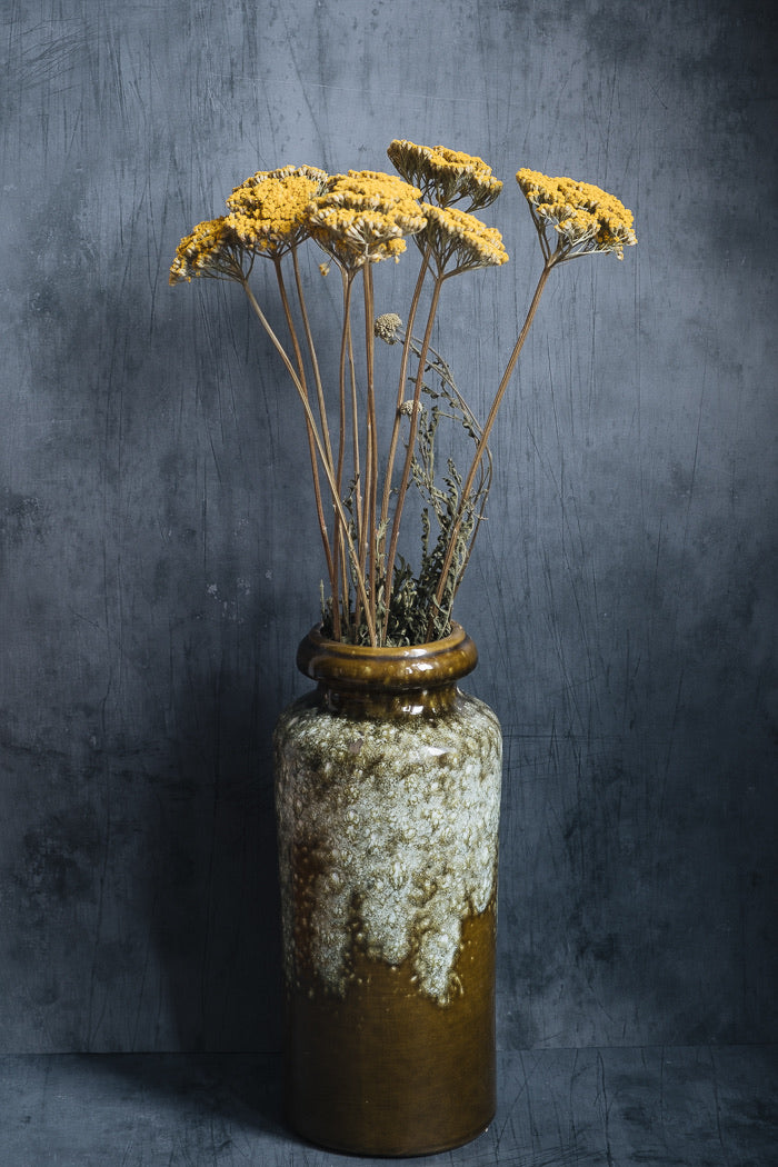 Dried Achillea - Natural Yellow